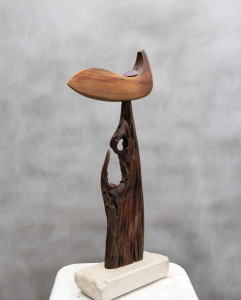 Indian Cypress