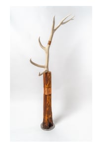 Elk Tree of Life