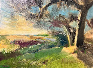 Marsh’s Edge study