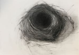 A Beautiful Nest