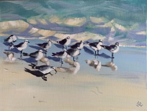 Eleven Little Gulls