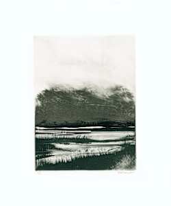 Homeground Suite #4
