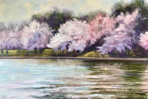 Spring Arrives in DC