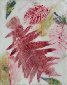 Red Fern