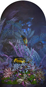 Great Barbet with Figs Nesting