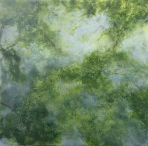 Orr - Small Study no. 4