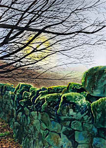 WINTER GREEN