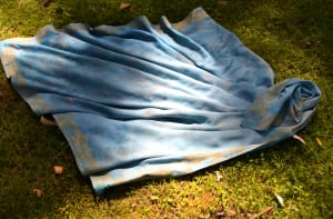 Bones in Blue II