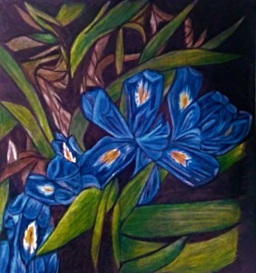 Dwarf Lake Iris