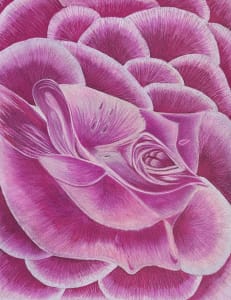The Perfect Rose