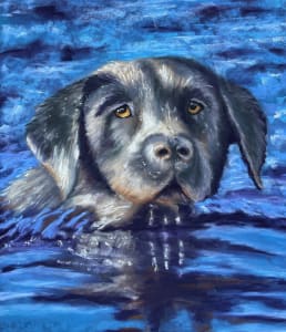 Water Dog