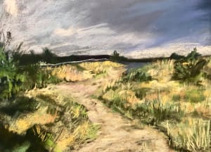 Maidstone Harbor Beach Dunes