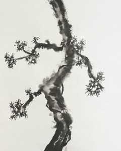 A proud tree (ein stolzer Baum)