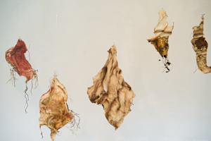 Untitled Installation