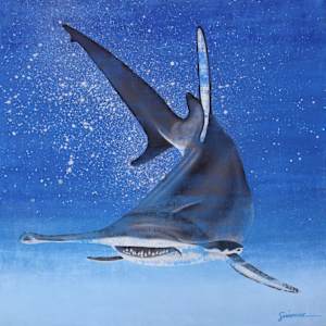 Hammerhead Shark, Number 1