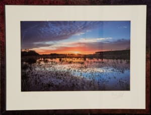 Crawfish Pond Sunrise