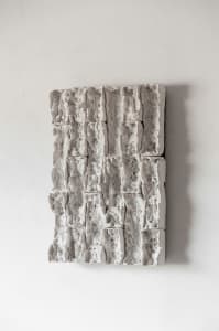 Topo Study II