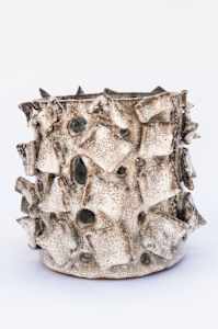 Fern Vessel VII