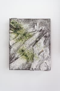 Leaves and Sticks in My Yard