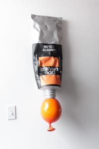 Dog Orange