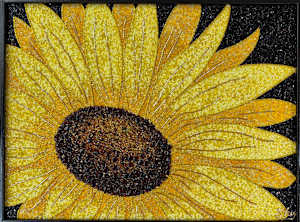 Sunflower #29