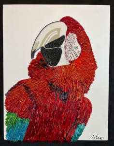 Rita - Macaw