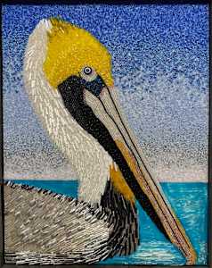 Jeffery - Pelican