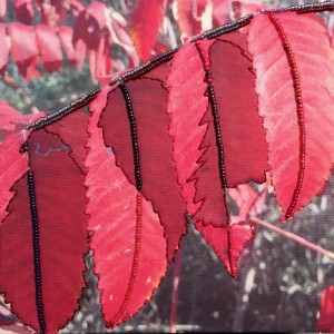 Red Sumac