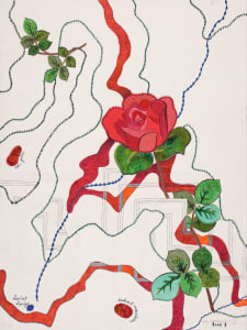 Mt. Zion: Compass Rose