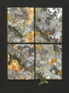 Lichen on Gravestone, Ireland