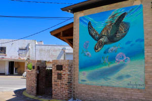 Downtown Panama City Exterior Mural