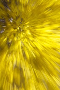 Yellow Love