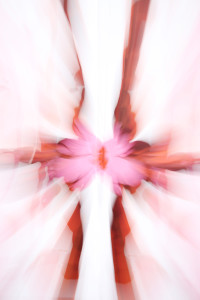 Fluid #3 Limited Edition