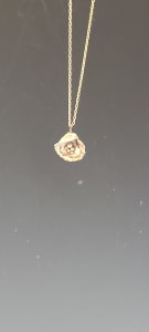 Silver Watercast Shell Necklace