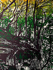 Hemlock Draw