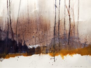 Fog