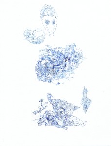 Bluebirds