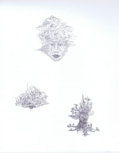 Trio