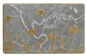 Missoula's Foundation