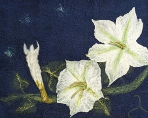 In the Valley of Midnight