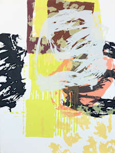 Exercises n Maximalism