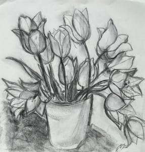Tulips