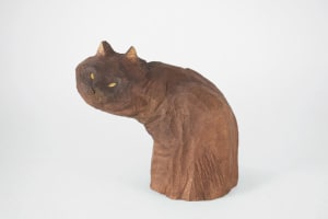 小黑喵 Black Meow
