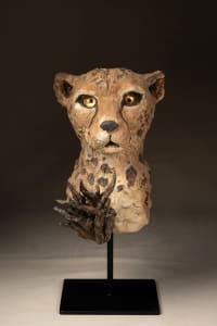 晨花 Morning Flower