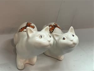 蝴蝶的猫眼 CAT eyes of butterfly