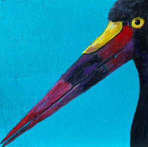 Saddle-billed Stork 1