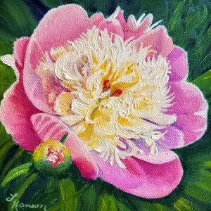 Peony