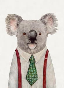 Koala