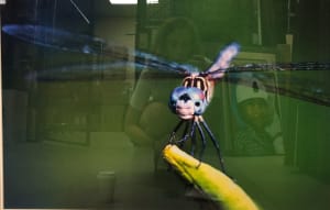 Dragonfly