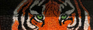 Eye of the Tiger